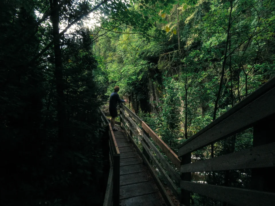 A person walking along a wooden boardwalk through a dark forest