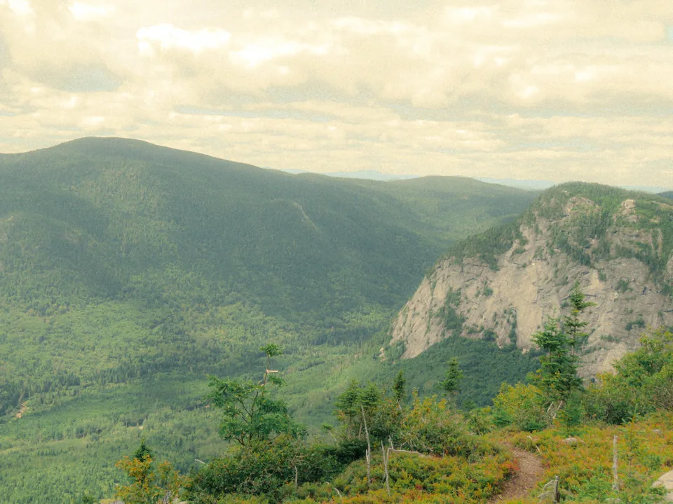 A broad mountain face above green forest and late-summer colour