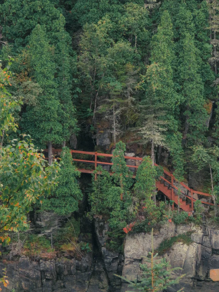 A red footbridge weaving through dense green trees