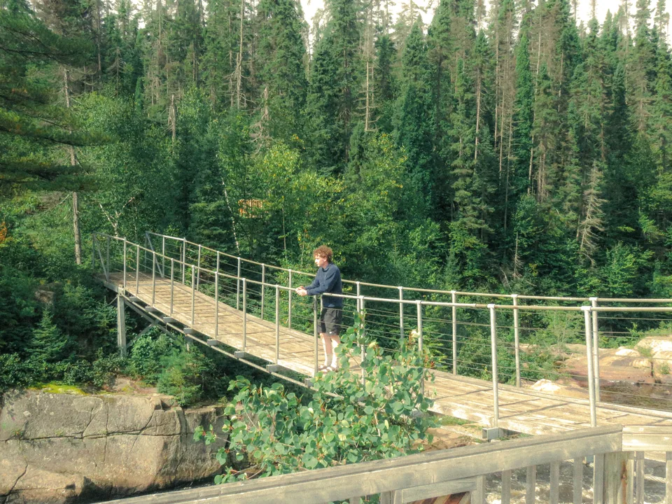 A person paused on a suspension bridge surrounded by evergreen forest